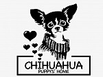 Chihuahua puppy'shome