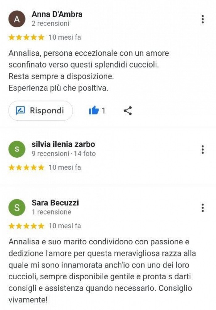 Recensioni