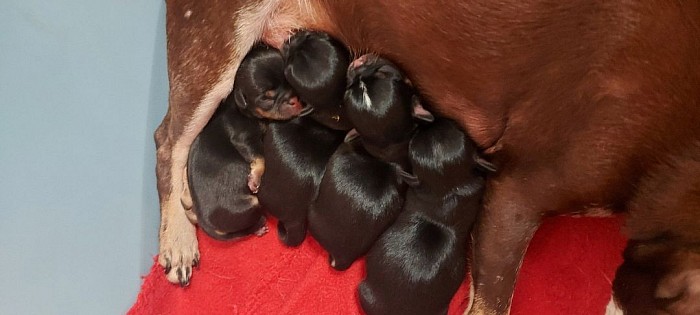 Al calduccio con la mamma