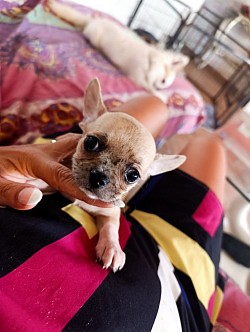 Bellissima bimba color sabbia